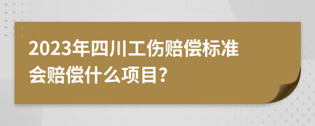 2023年四川工伤赔偿标准会赔偿什么项目？