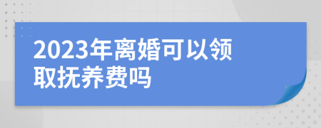 2023年离婚可以领取抚养费吗