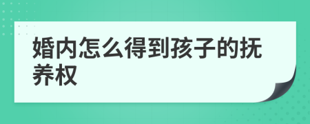 婚内怎么得到孩子的抚养权