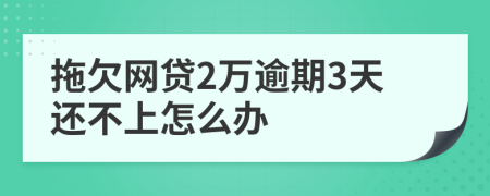 拖欠网贷2万逾期3天还不上怎么办