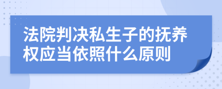 法院判决私生子的抚养权应当依照什么原则