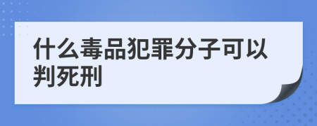 什么毒品犯罪分子可以判死刑