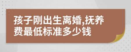 孩子刚出生离婚,抚养费最低标准多少钱