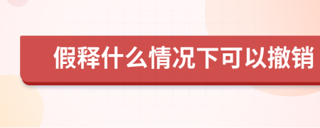 假释什么情况下可以撤销