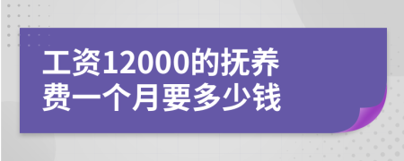 工资12000的抚养费一个月要多少钱