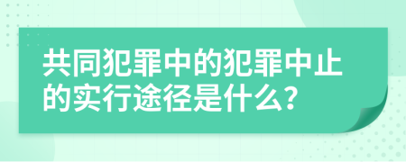 共同犯罪中的犯罪中止的实行途径是什么？