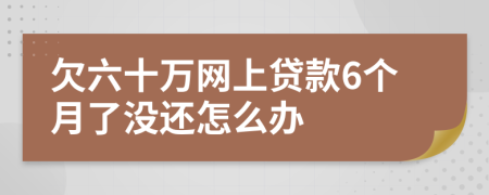 欠六十万网上贷款6个月了没还怎么办