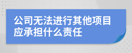 公司无法进行其他项目应承担什么责任