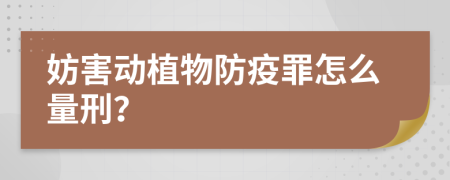 妨害动植物防疫罪怎么量刑？