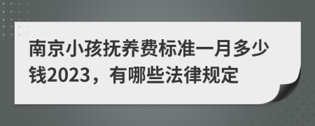 南京小孩抚养费标准一月多少钱2023，有哪些法律规定