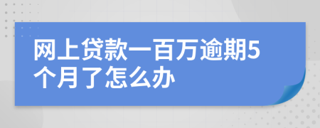 网上贷款一百万逾期5个月了怎么办