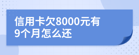 信用卡欠8000元有9个月怎么还