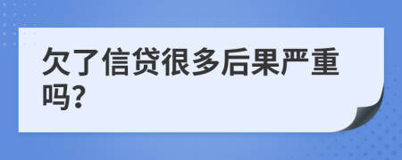 欠了信贷很多后果严重吗？