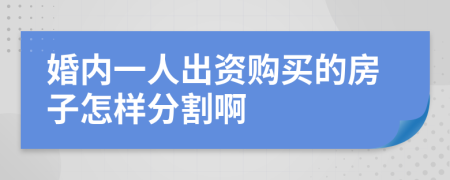 婚内一人出资购买的房子怎样分割啊