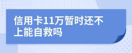 信用卡11万暂时还不上能自救吗