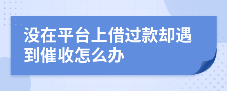 没在平台上借过款却遇到催收怎么办