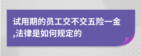 试用期的员工交不交五险一金,法律是如何规定的