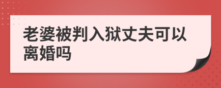 老婆被判入狱丈夫可以离婚吗