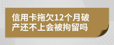 信用卡拖欠12个月破产还不上会被拘留吗