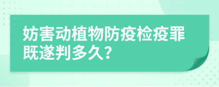 妨害动植物防疫检疫罪既遂判多久？