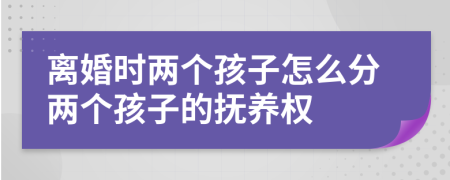 离婚时两个孩子怎么分两个孩子的抚养权