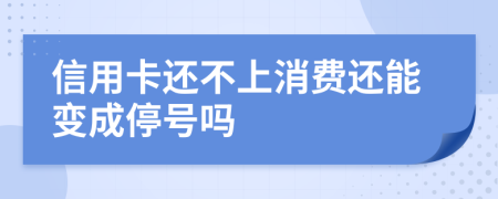 信用卡还不上消费还能变成停号吗