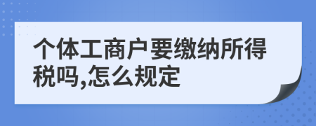 个体工商户要缴纳所得税吗,怎么规定