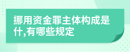 挪用资金罪主体构成是什,有哪些规定