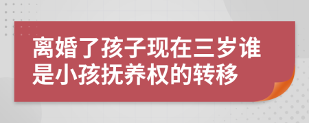 离婚了孩子现在三岁谁是小孩抚养权的转移