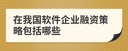 在我国软件企业融资策略包括哪些