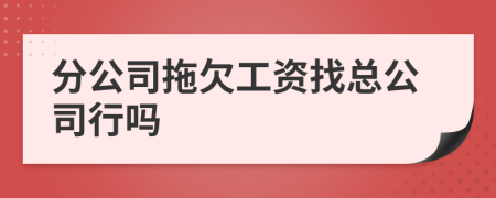 分公司拖欠工资找总公司行吗