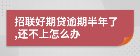 招联好期贷逾期半年了,还不上怎么办