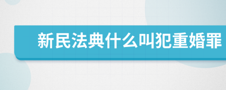 新民法典什么叫犯重婚罪