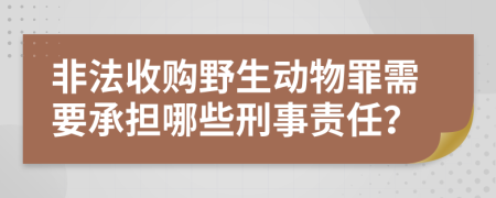 非法收购野生动物罪需要承担哪些刑事责任？