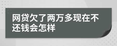 网贷欠了两万多现在不还钱会怎样