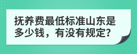抚养费最低标准山东是多少钱，有没有规定？