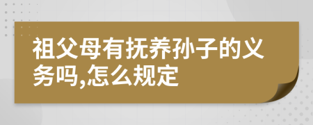 祖父母有抚养孙子的义务吗,怎么规定