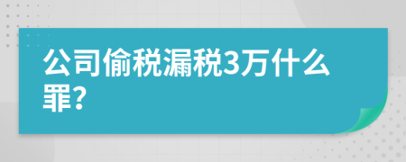 公司偷税漏税3万什么罪？