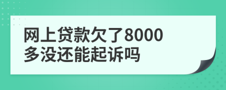 网上贷款欠了8000多没还能起诉吗