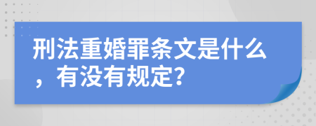 刑法重婚罪条文是什么，有没有规定？