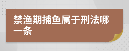 禁渔期捕鱼属于刑法哪一条