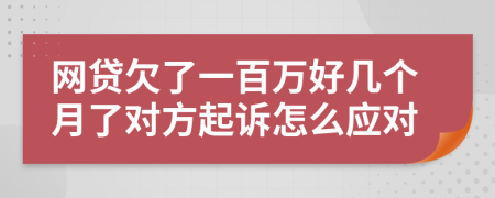 网贷欠了一百万好几个月了对方起诉怎么应对