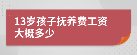 13岁孩子抚养费工资大概多少