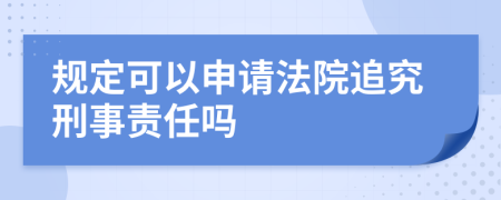 规定可以申请法院追究刑事责任吗