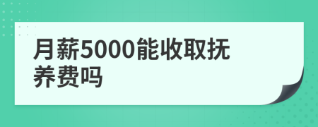 月薪5000能收取抚养费吗