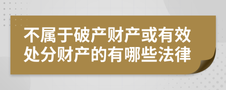 不属于破产财产或有效处分财产的有哪些法律