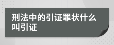 刑法中的引证罪状什么叫引证