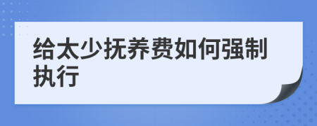 给太少抚养费如何强制执行