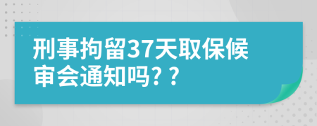 刑事拘留37天取保候审会通知吗? ?