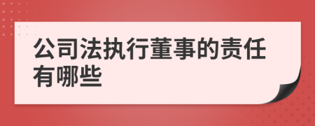 公司法执行董事的责任有哪些